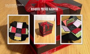 Raquel Muñiz Garcia