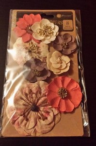 13524189_1760748664210546_412032393_o