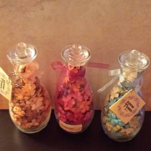 13549146_1760748620877217_1440777468_o