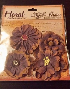 13555494_1760748650877214_1363005801_o