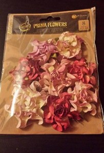 13570354_1760748644210548_418106563_o