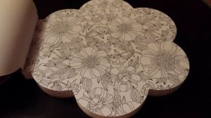 14169557_1790792427872836_1367613292_n