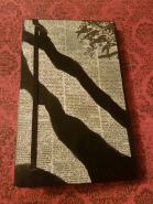 17274539_1893255994293145_1480386091_n